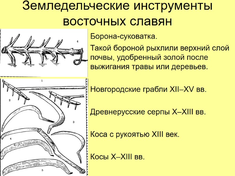 Земледельческие инструменты восточных славян Борона-суковатка.  Такой бороной рыхлили верхний слой почвы, удобренный золой
